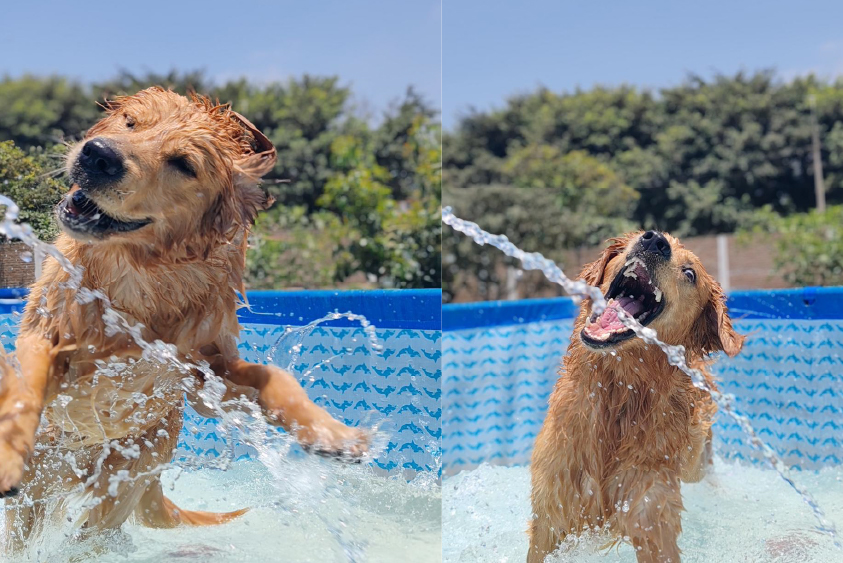 Entrenamiento al aire libre